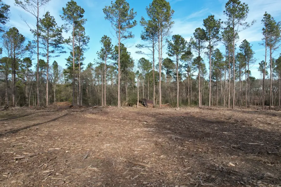 Tract A County Road 4037, Timpson, TX 75975 - Image #3