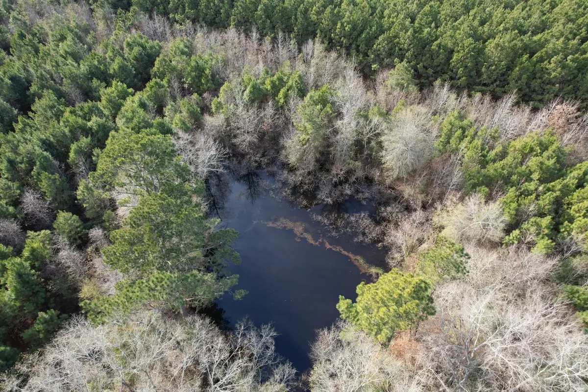 Tract D County Road 4037, Timpson, TX 75975 - Image #1