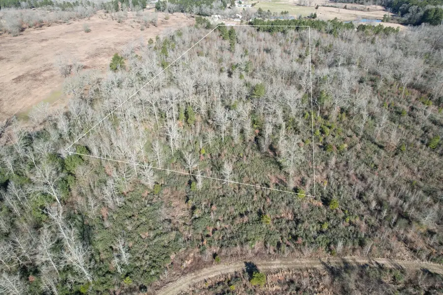 TBD-C County Road 4021, Timpson, TX 75975 - Image #2