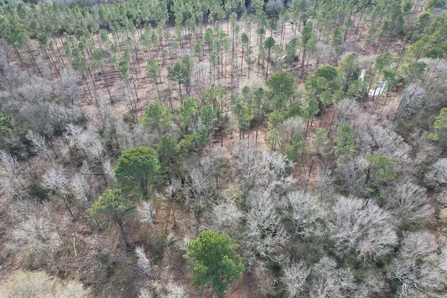 Tract B County Road 4037, Timpson, TX 75975 - Image #2