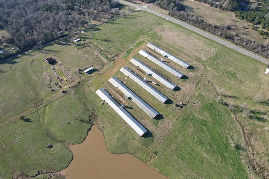 11200 Fm 699, Joaquin, TX 75954 - Image #3