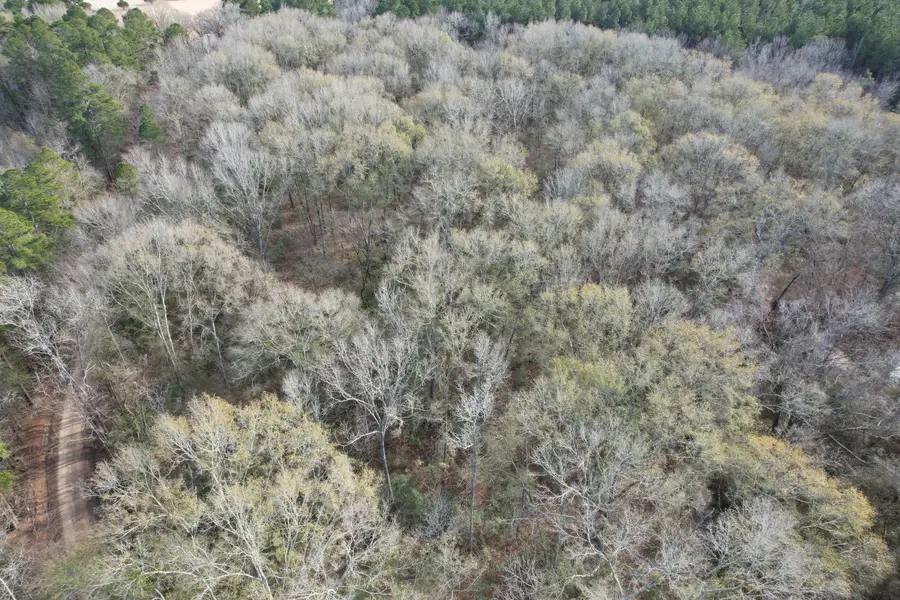 Tract C County Road 4037, Timpson, TX 75975 - Image #3