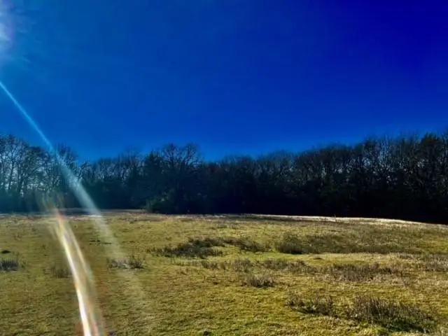 10 Ac Fm 1753 Highway, East Grayson, TX 75021 - #3