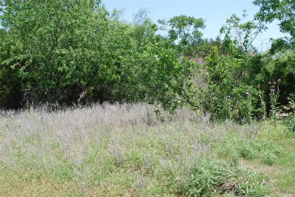 16021 Faircrest Drive, Whitney, TX 76692