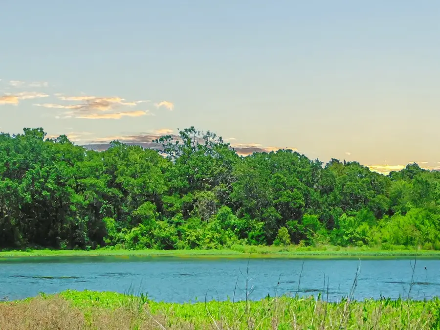 TBD SE County Road 4030, Kerens, TX 75144 - #3