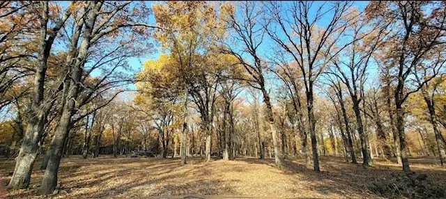 #3