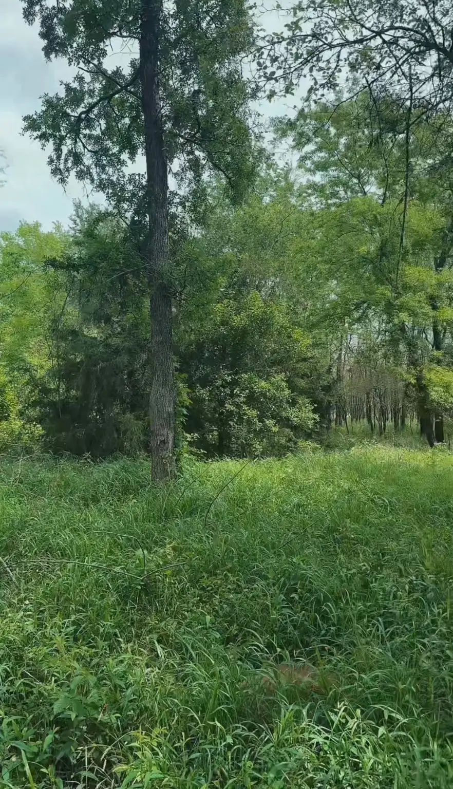 #2