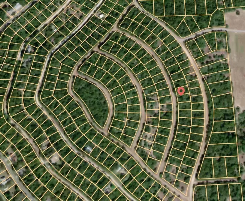 Lot 39 Cheyenne, Normangee, TX 77871 - Image #2