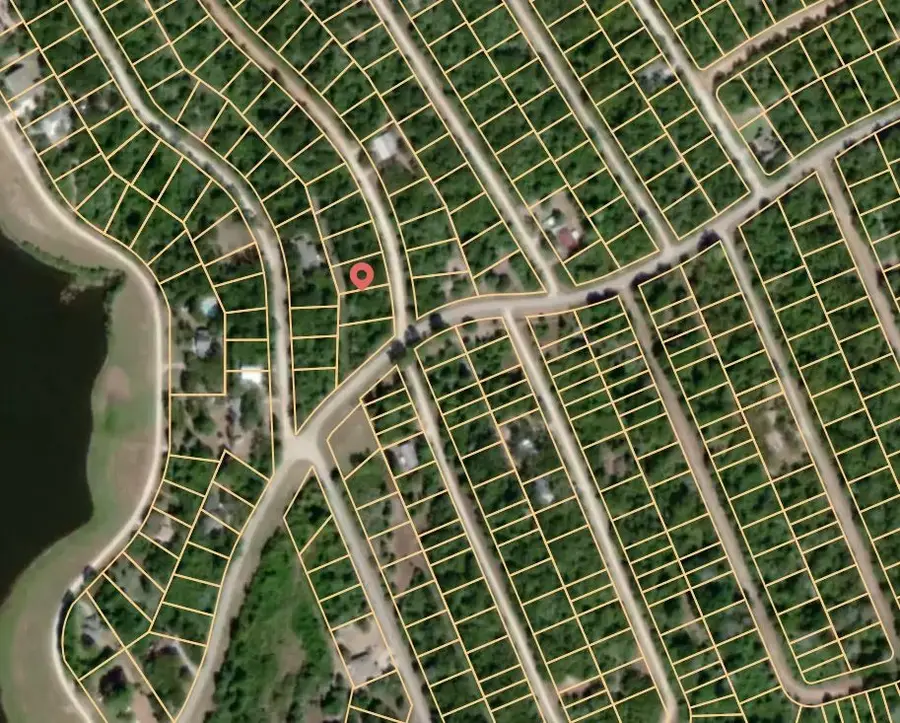 Lot 16 Blackgum, Normangee, TX 77871 - Image #2