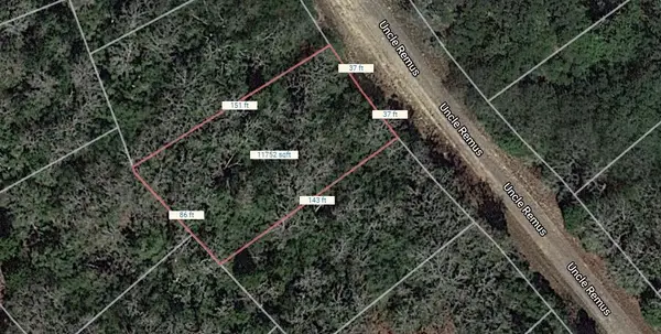 Lot 14 Uncle Remus Road, Normangee, TX 77871