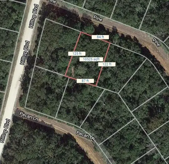 Lot 12 Pine, Normangee, TX 77871 - #1