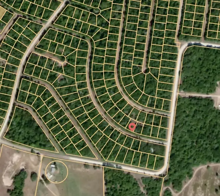 Lot 54 Crabapple Road, Normangee, TX 77871 - #2