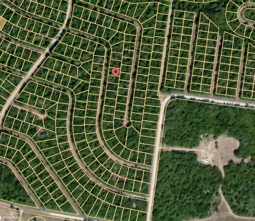 Lot 56 Redbud Lane, Normangee, TX 77871 - #2