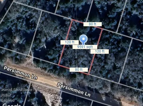 Lot 3 Persimmon Lane, Normangee, TX 77871 - #1