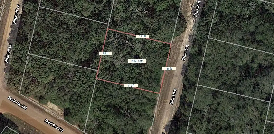 Lot 15 Blossom, Normangee, TX 77871 - #1