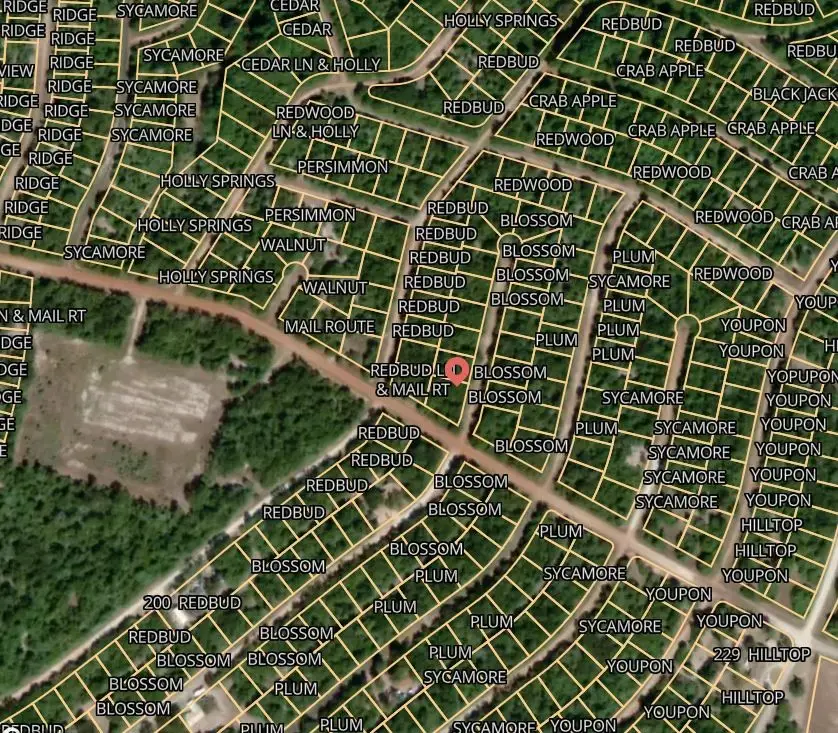 Lot 15 Blossom, Normangee, TX 77871 - #2