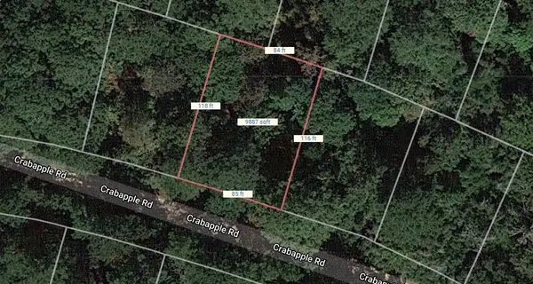 Lot 20 Crabapple Road, Normangee, TX 77871