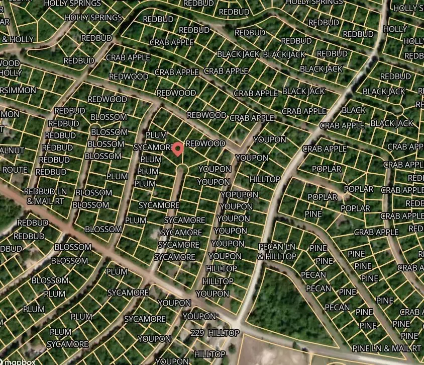 Lot 19 Sycamore Lane, Normangee, TX 77871 - #2