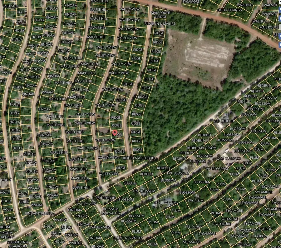 Lot 25 Ridge Lane, Normangee, TX 77871 - #2