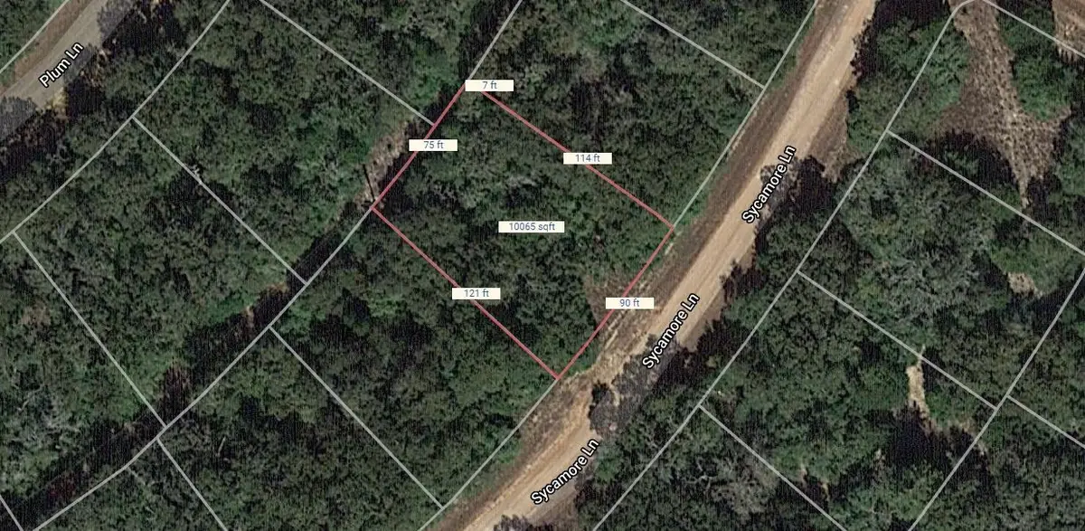 Lot 30 Sycamore Lane, Normangee, TX 77871 - #1