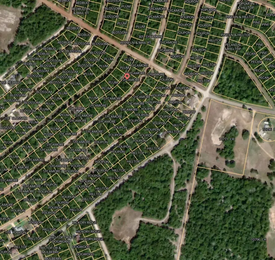 Lot 30 Sycamore Lane, Normangee, TX 77871 - #2