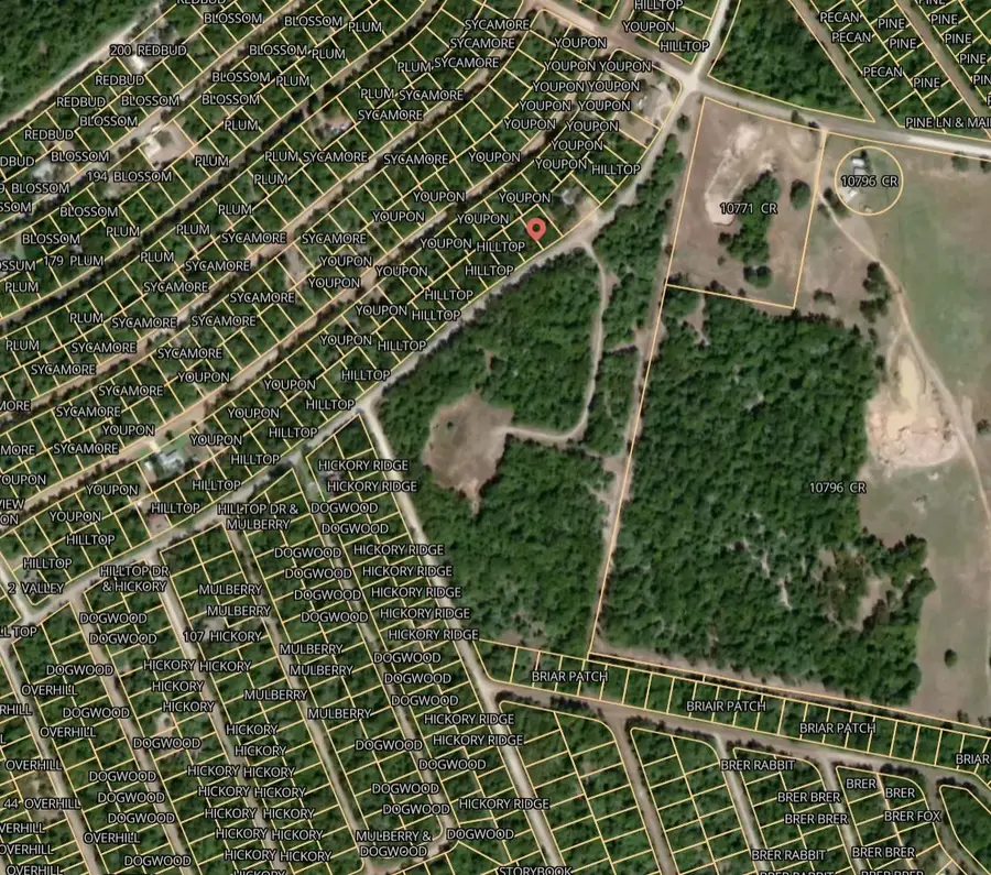 Lot 28 Hilltop Drive, Normangee, TX 77871 - #2