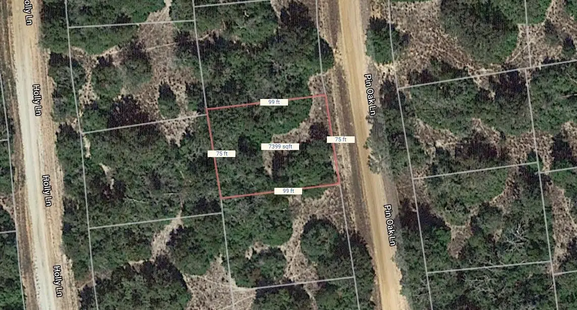 Lot 20 Pin Oak, Normangee, TX 77871 - #1