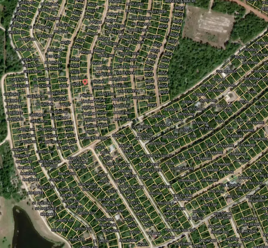 Lot 20 Pin Oak, Normangee, TX 77871 - #2