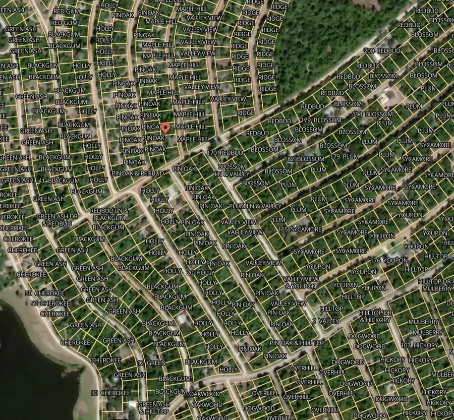 Lot 12 Maple Hill Lane, Normangee, TX 77871 - #2