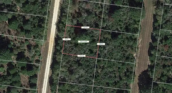 Lot 18 Waco Street, Normangee, TX 77871