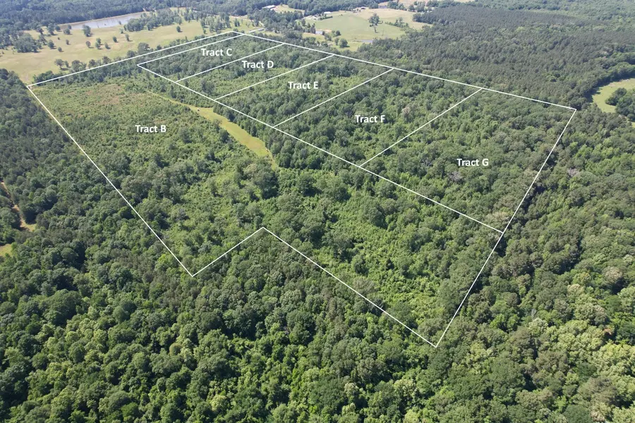 TBD-D County Road 4021, Timpson, TX 75975 - Image #2