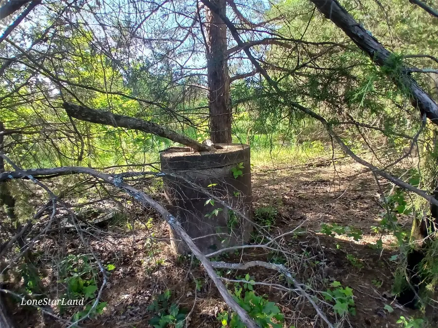 475 County Road 4421, Pittsburg, TX 75686 - Image #2