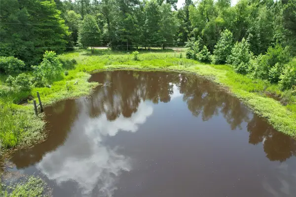 18.17 acres Cr 1190, Grapeland, TX 75844