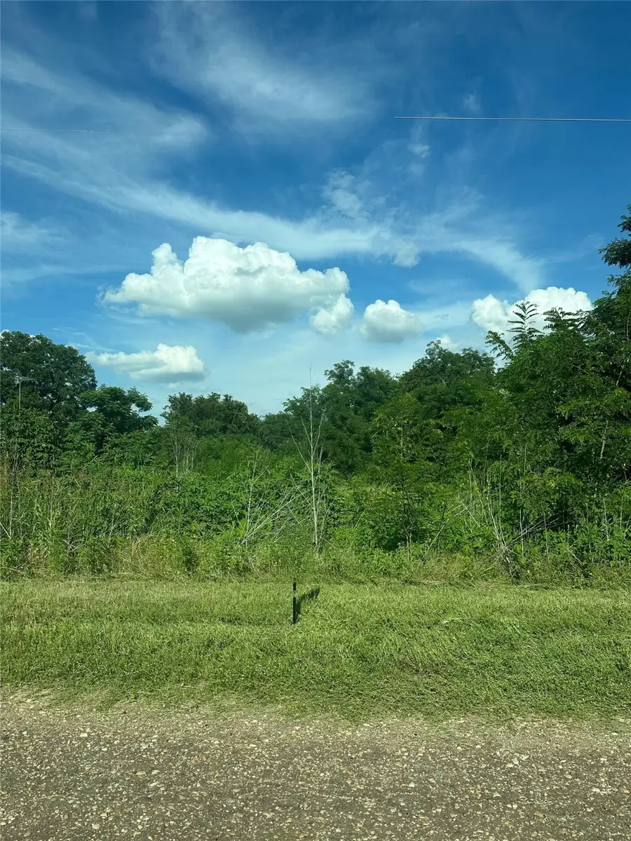 TBD County Road 287, Marlin, TX 76661 - Image #2