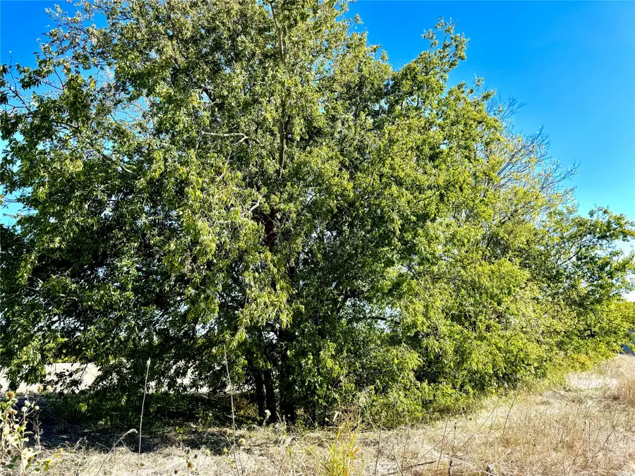 Lot 10 Cr-590, Nevada, TX 75173 - #2
