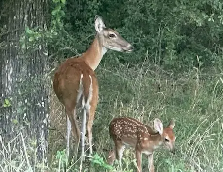 #2