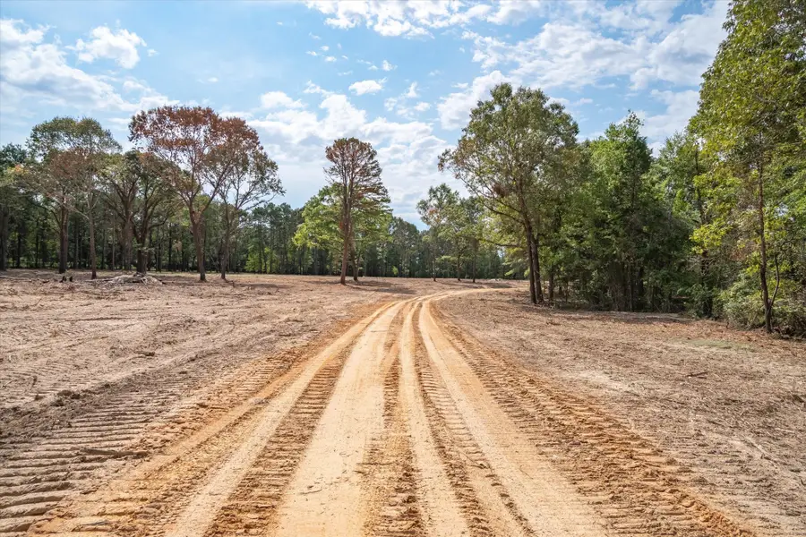 19451 County Road 4307 Road, Larue, TX 75770 - #3