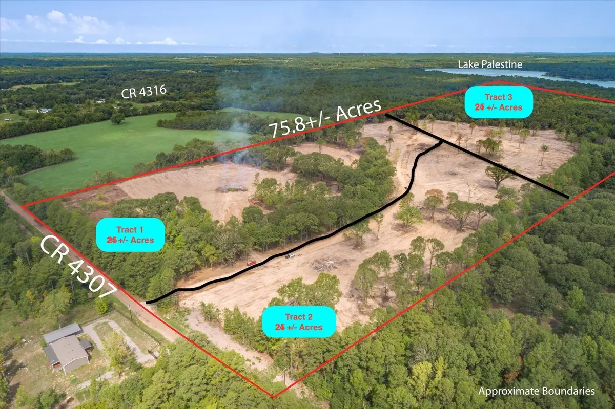 Tract 3 - TBD County Road 4307, Larue, TX 75770 - #1