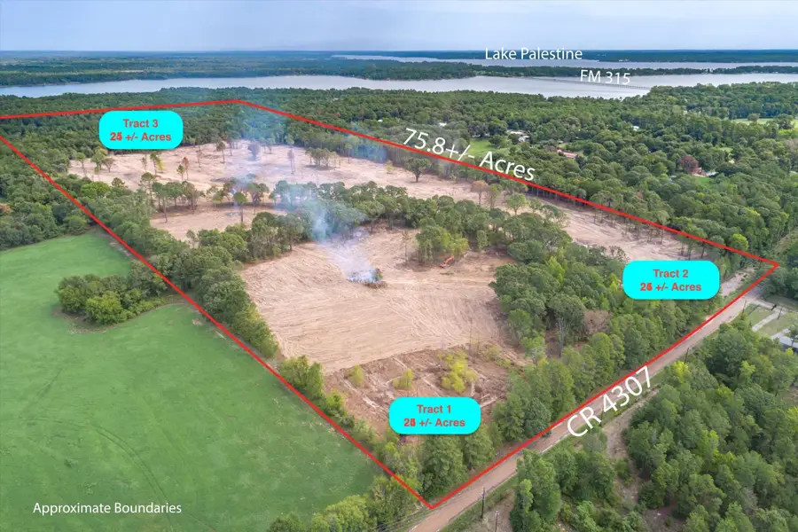 Tract 3 - TBD County Road 4307, Larue, TX 75770 - #2