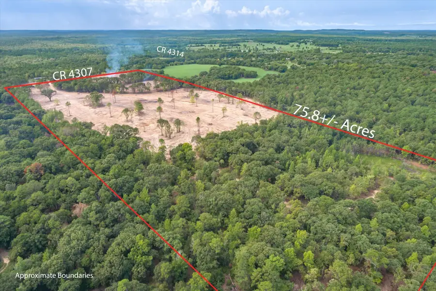 Tract 3 - TBD County Road 4307, Larue, TX 75770 - #3