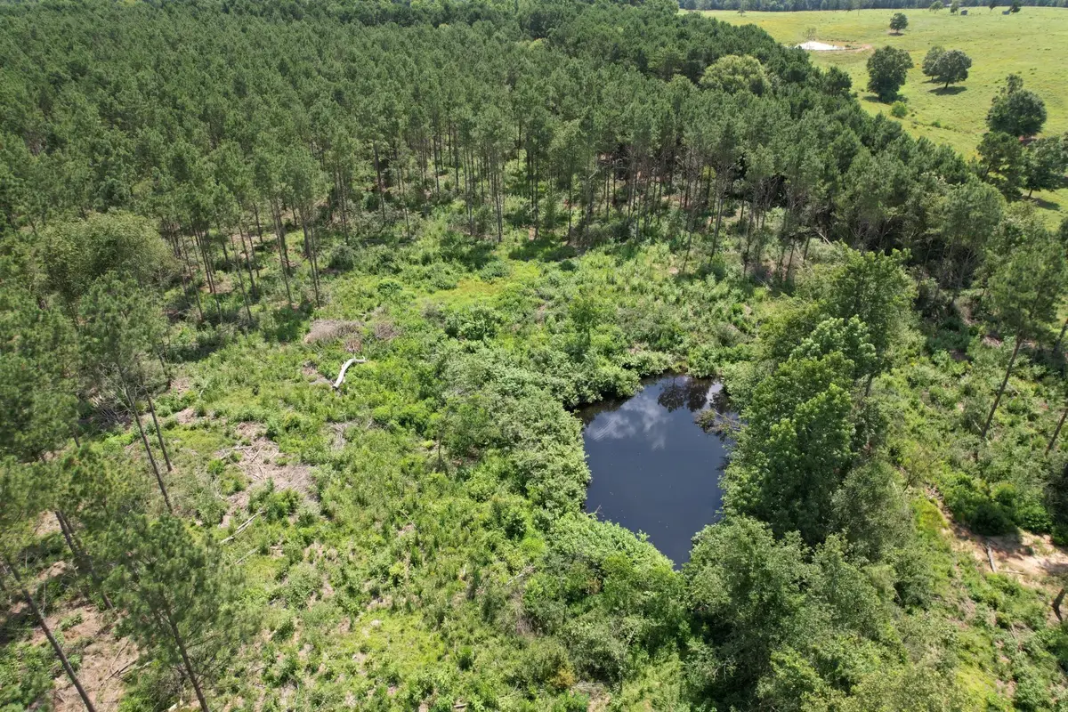 TBD County Road 3706, Tenaha, TX 75974 - Image #1