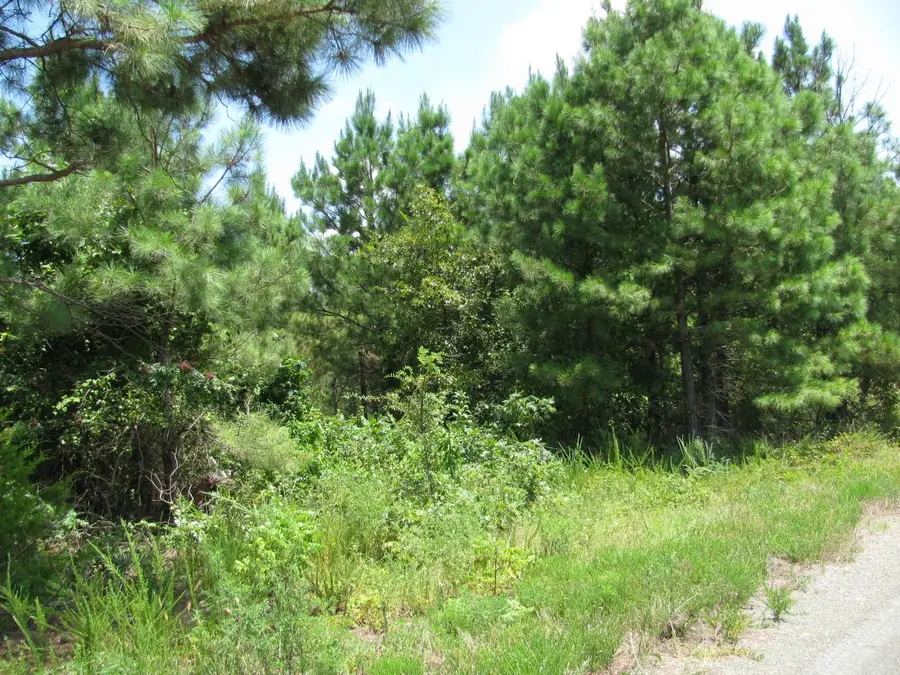 TBD Jace's Trail, Nashoba, OK 74558 - Image #3