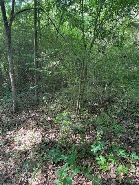 #3