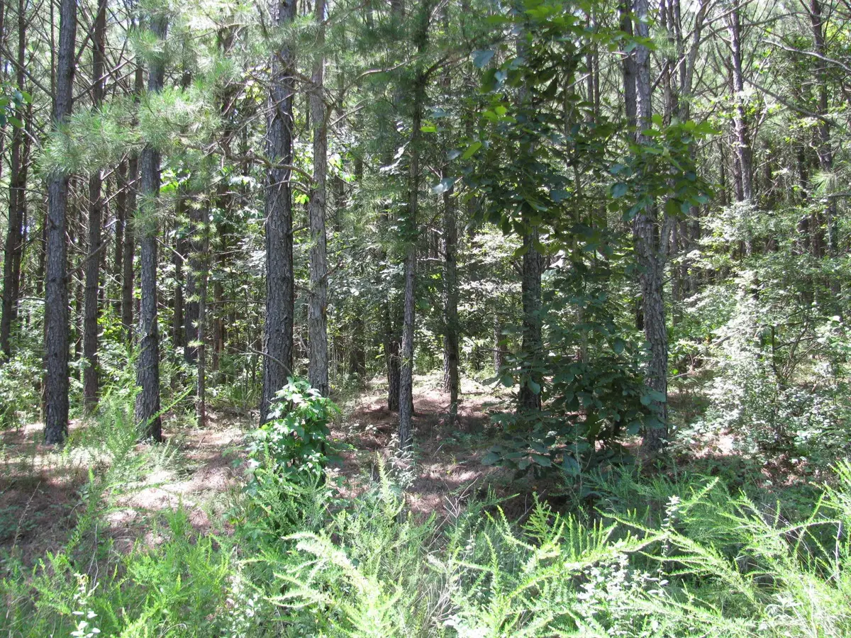 TBD Josee's Journey, Nashoba, OK 74558 - Image #1