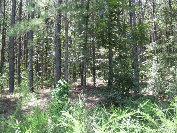 TBD Josee's Journey, Nashoba, OK 74558