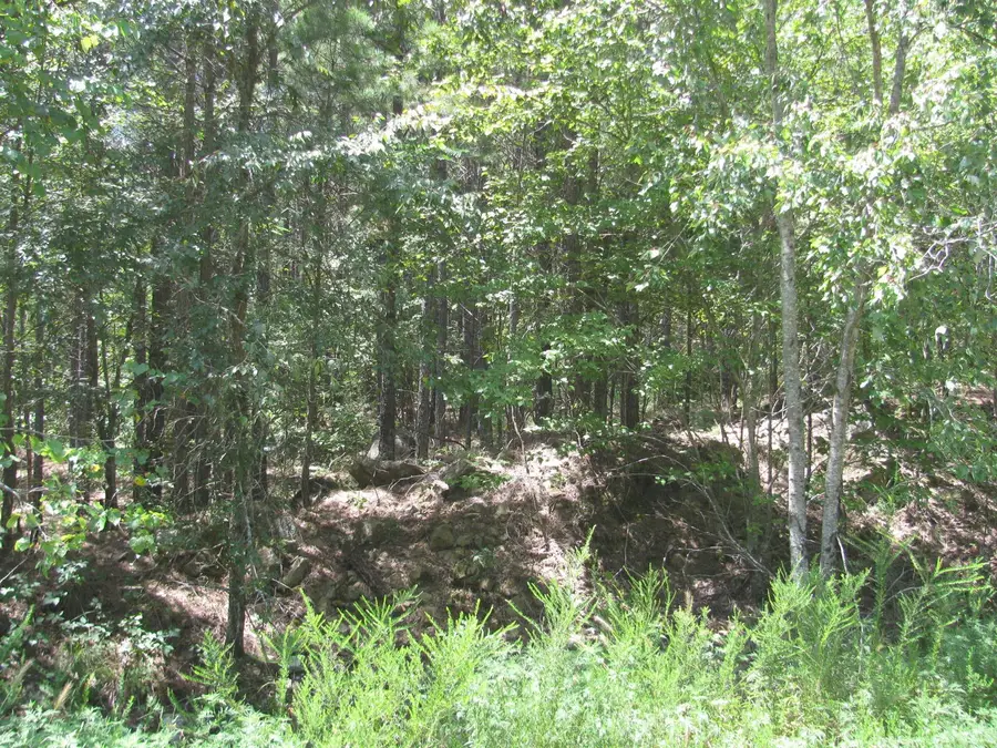 TBD Josee's Journey, Nashoba, OK 74558 - Image #3