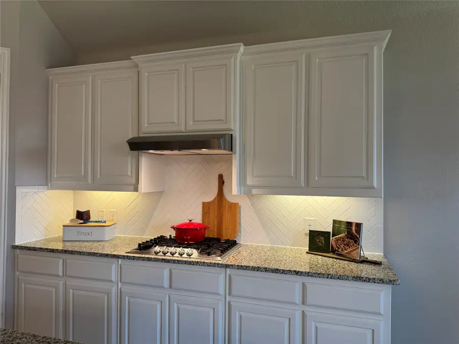 10017 Denali Drive, Little Elm, TX 75068 - Image #3