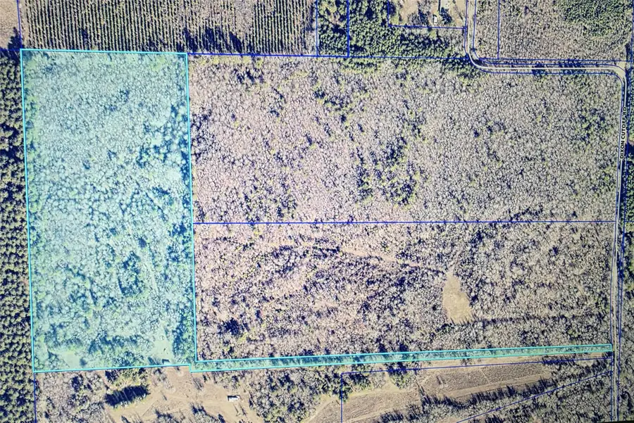 000 Hwy 157, Plain Dealing, LA 71064 - Image #3