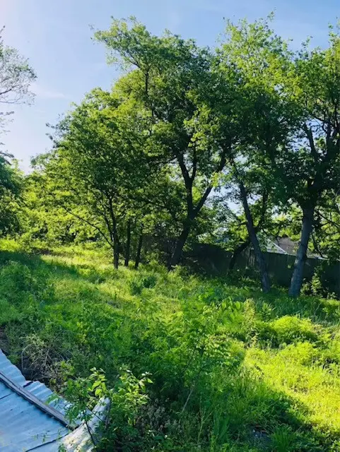 3016 Wellington Street, Greenville, TX 75401