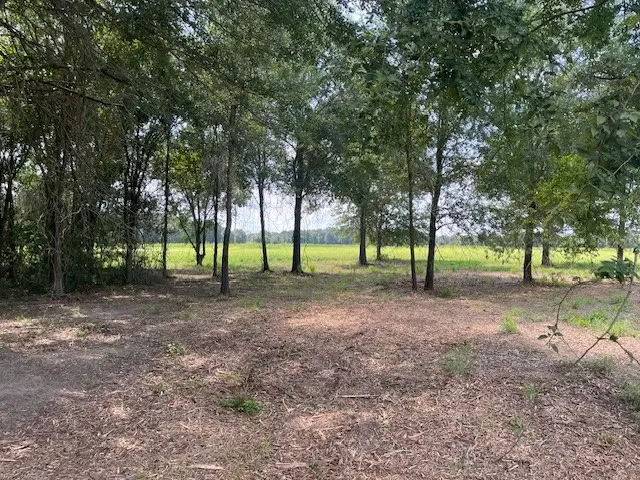 #3